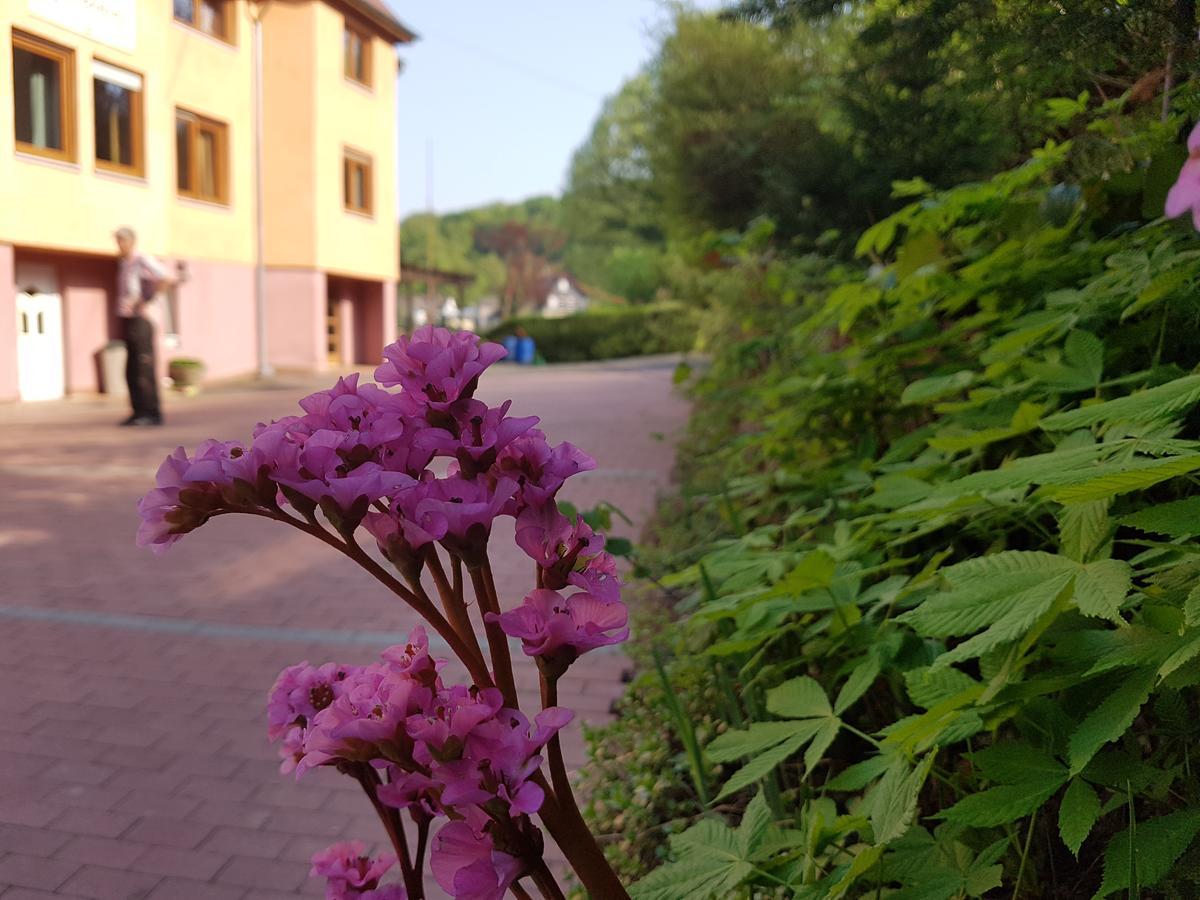 Hotel Zur Engelsburg Hausen-Wied Exterior photo